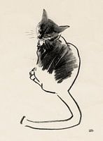 Noesje,dessin d'un chat au fusain