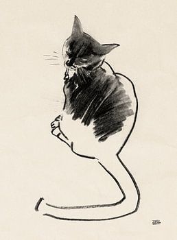 Noesje,drawing of a cat with charcoal