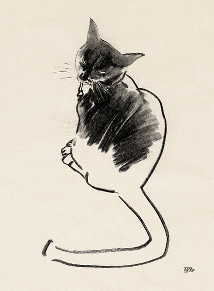 Noesje,tekening van een kat met houtskool van Pieter Hogenbirk
