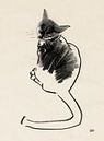 Noesje,tekening van een kat met houtskool van Pieter Hogenbirk thumbnail
