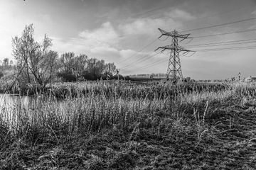 Le paysage des polders sur Ivo de Rooij