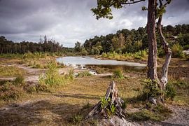 Roode Beek @ Brunssummerheide von Rob Boon