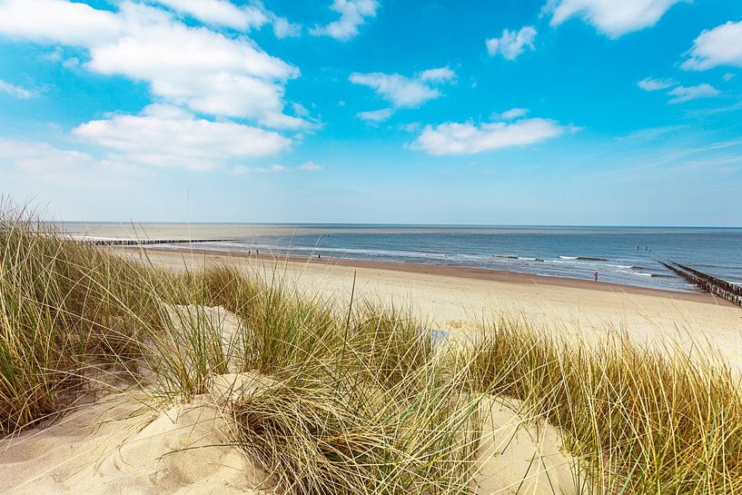 Vue mer Zélande par Björn van den Berg