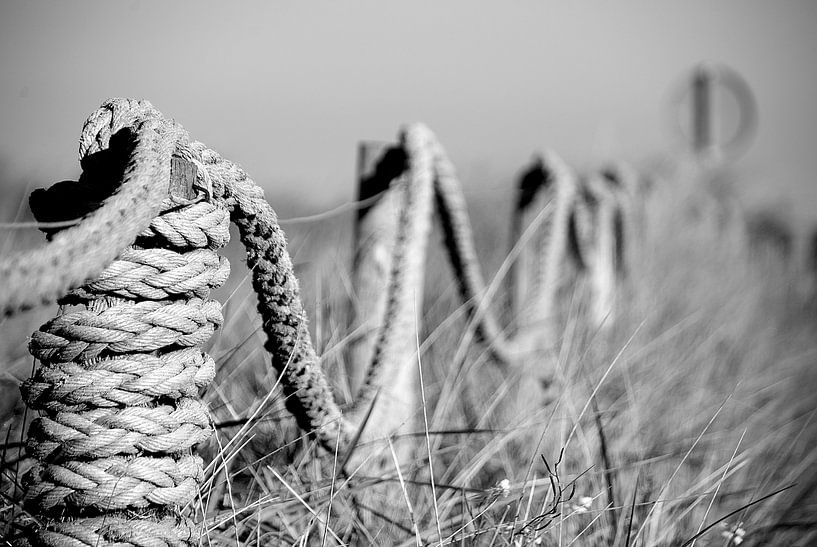 Texel par Elly Kiljan