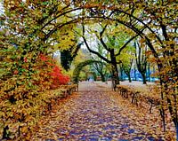 Herbst an der Bebelallee