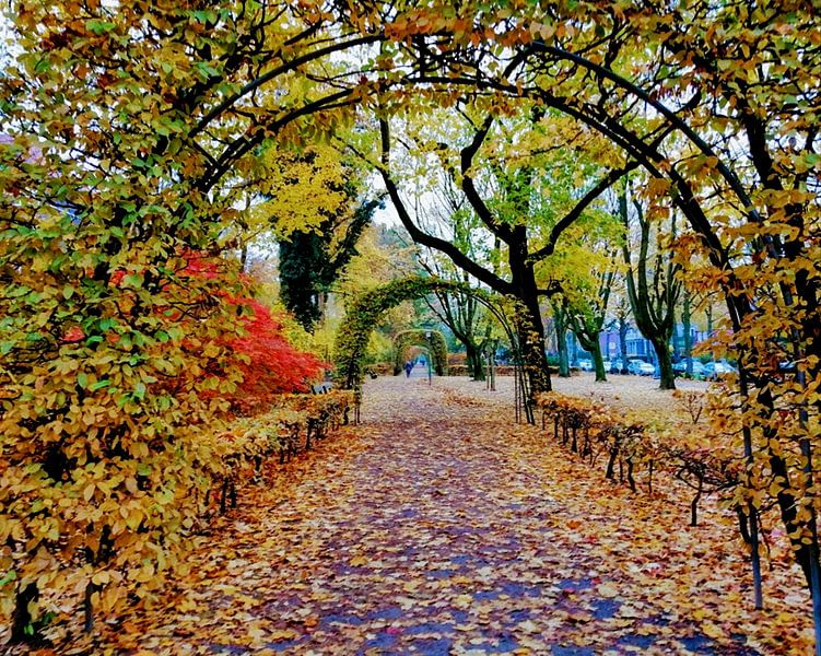 Herbst an der Bebelallee by Peter Norden