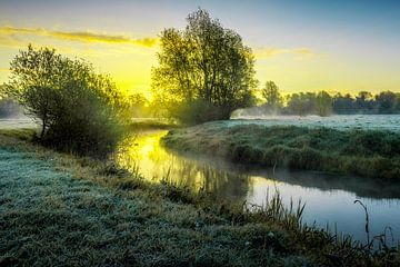 Markdal van Janine Schreurs Images