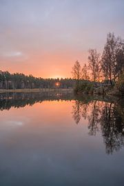 Morning red during the sunrise on the heath by John van de Gazelle fotografie