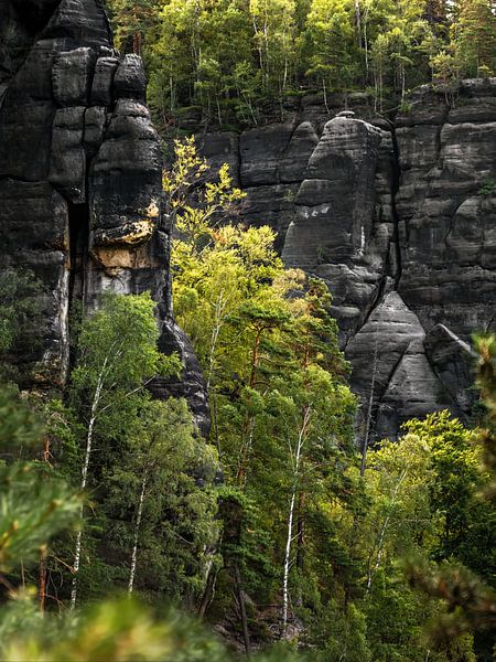 Schwarzes Horn, Sächsische Schweiz - Dunkle Felswände von Pixelwerk