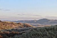 Dünen Castricum am Meer