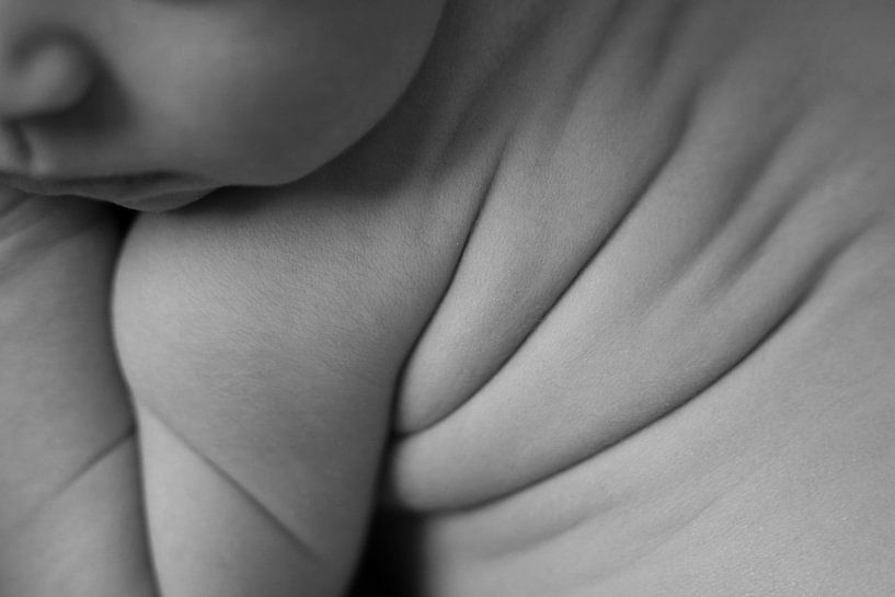 Baby details by Danae Willeme