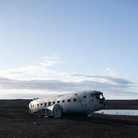 Het vliegtuig in IJsland van Sophie Feenstra