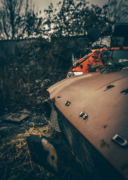 Ford by The Utregter Photoraphy