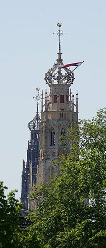St. Bavo & Bakenesserkerk, Haarlem (2023)-1 by Eric Oudendijk