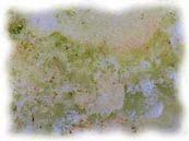 Abstract groen wit roze van Maurice Dawson thumbnail