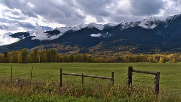Pasture in Robson Valley by Timon Schneider