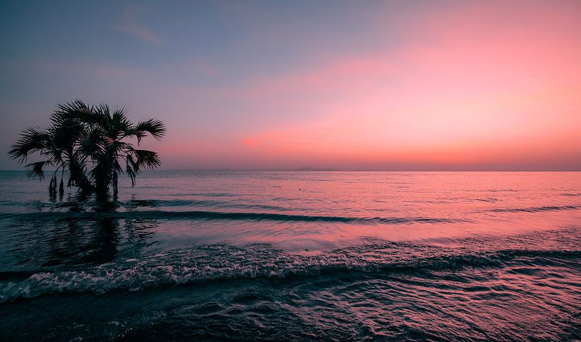 Zonsopkomst met Palmboom van Jesse Simonis