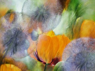 Dandelions with poppies