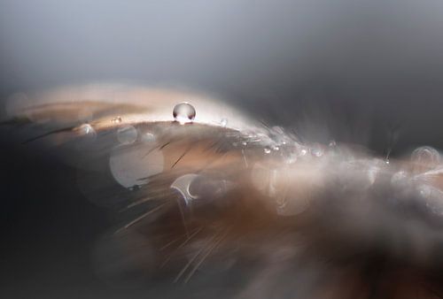 du gibst meinem Leben Gleichgewicht