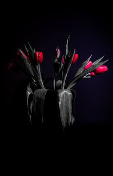 Tulpen zwart rood van BAM