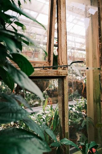 Doorkijkje door het botanische tuinkas raam