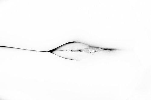 Artistiek Naakt van een Vagina en Billen in Hoog Contrast