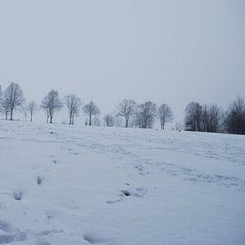 snow van Necati Karadag
