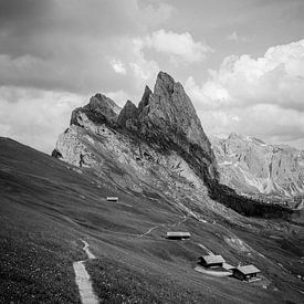 Seceda in Black and White: Iconic Path with Flowers and Mountain Huts by Be More Outdoor