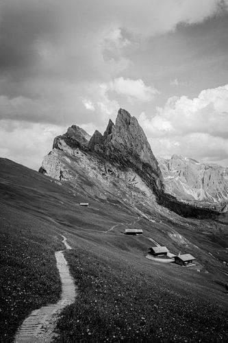Seceda in Black and White: Iconic Path with Flowers and Mountain Huts