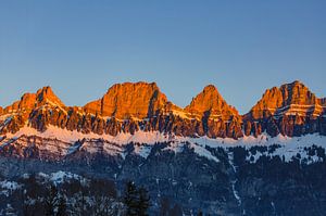 Churfirsten von Flumserberge im Morgenrot Alpenglühen beim Sonnenaufgang im Januar von Martin Steiner