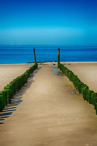 Wellenbrecher im Meer