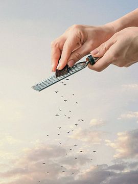 Gegarneerde kudde van Vertigo Artography
