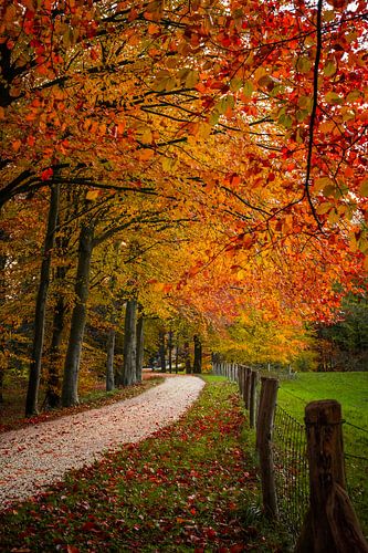 Herfstlaan