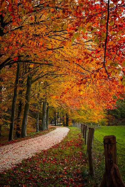 Herfstlaan von Edward Sarkisian