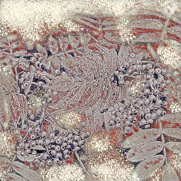 Abstract Autumn Berries von GittaGsArt