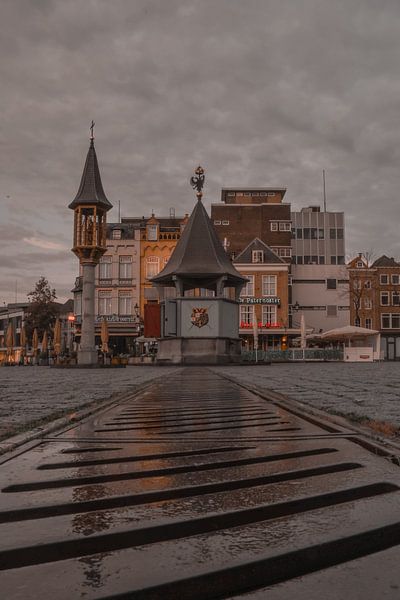 Markt ‘s-Hertogenbosch van Frederike Heuvel