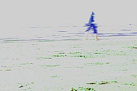 Langs het strand
