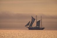 Ein Segelschiff auf der Ostsee im Sonnenuntergang von Rico Ködder Miniaturansicht
