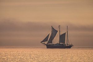 A sailing ship on the Baltic Sea in sunset light van Rico Ködder