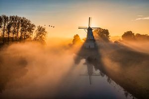 Moulin le papillon