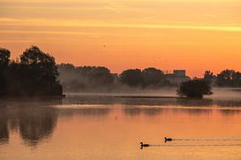 Meinerswijk part 60 by Tania Perneel