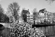 Keizersgracht Amsterdam von Marianna Pobedimova Miniaturansicht