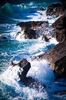 Wild water V