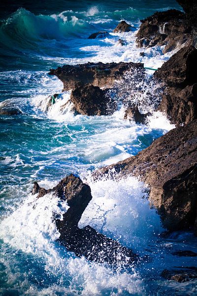 Wild water V by Bram van Kattenbroek
