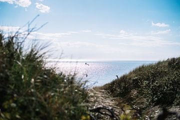 Zeezicht tussen de duinen van Sanne van Heukelum