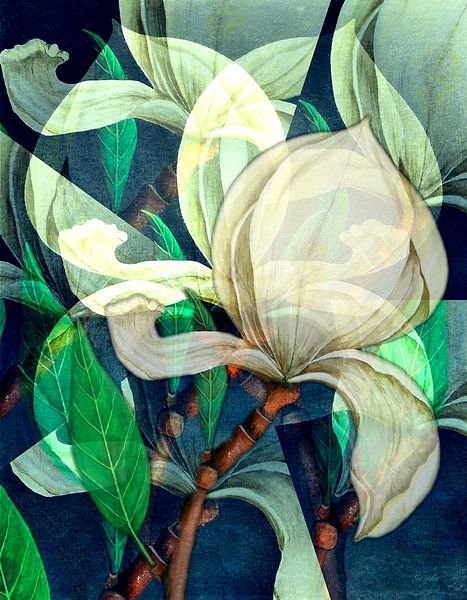 abstrait floral par Gertrud Scheffler