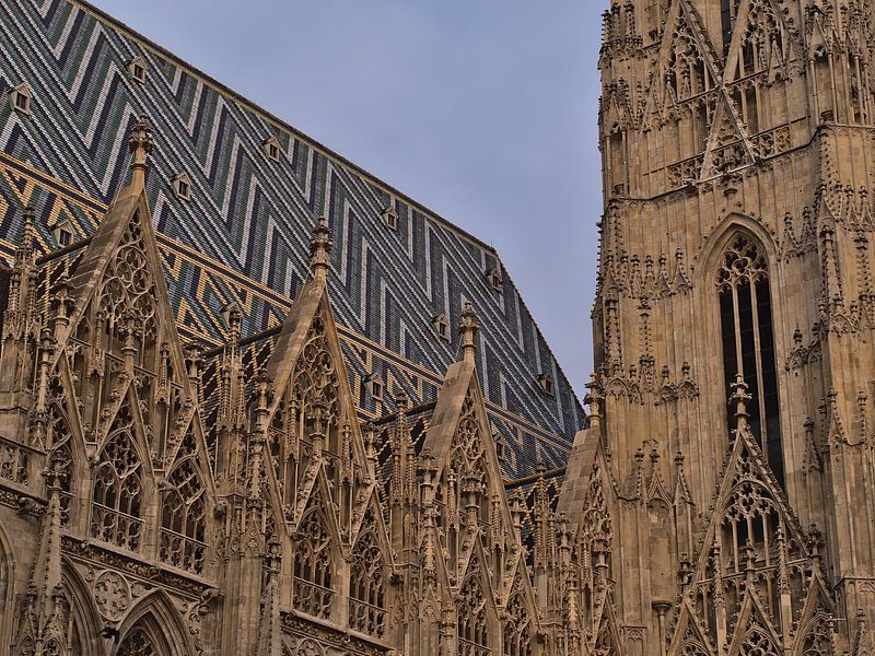 Close-up van de Stephansdom, Wenen van Timon Schneider