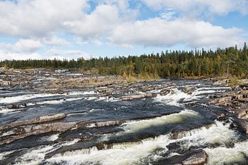 Trappstegsforsen de trapsgewijze waterval op de wilde weg in Zweden in de herfst van Karin Jähne