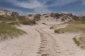 Dunes de Texel