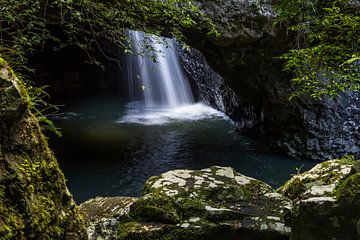 Natural Bridge, Springbrook National Park, New South Wales, Australie van Willem Vernes